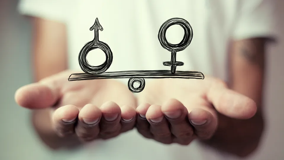 Breaking Barriers: A Whole-of-Society Approach to Gender Equality in Media Development? Fojo