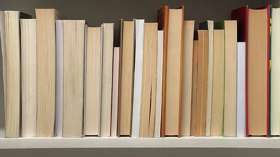 Should we follow the wisdom of the crowds or critics? How to choose your next book.