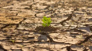 Is journalism inadvertently contributing to climate inaction?
